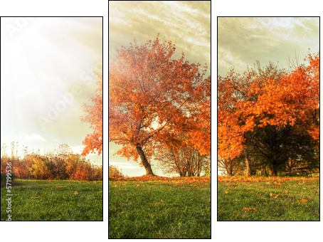 Autumn landscape  - Obraz trzyczęściowy, Tryptyk