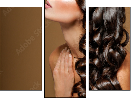 beautiful brunette with long  curly hair  - Obraz trzyczęściowy, Tryptyk