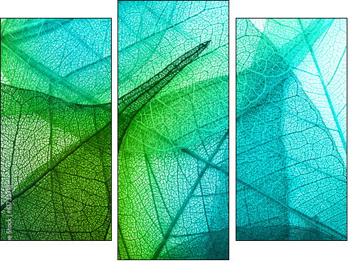 Macro leaves background texture  - Obraz trzyczęściowy, Tryptyk