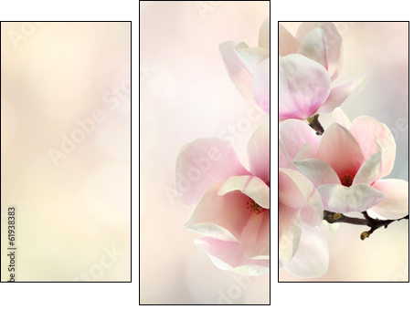 magnolia - Obraz trzyczęściowy, Tryptyk