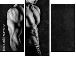 Bodybuilder showing his muscles  - Obraz trzyczęściowy, Tryptyk