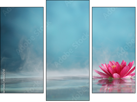 water lily - Obraz trzyczęściowy, Tryptyk