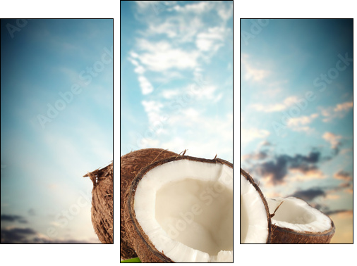 coconuts  - Obraz trzyczęściowy, Tryptyk