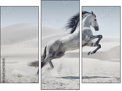 Picture presenting the galloping white horse  - Obraz trzyczęściowy, Tryptyk