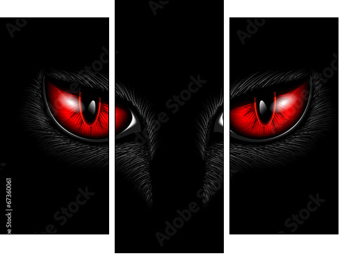 red cat's eyes  - Obraz trzyczęściowy, Tryptyk
