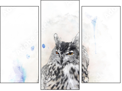 Watercolor Image Of  Owl  - Obraz trzyczęściowy, Tryptyk