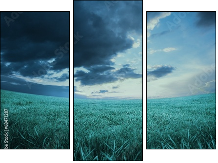 Blue sky over green field  - Obraz trzyczęściowy, Tryptyk