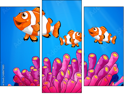 Clownfishes under the sea  - Obraz trzyczęściowy, Tryptyk