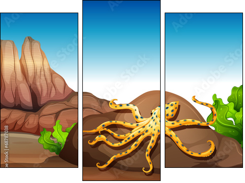 An octopus at the rock  - Obraz trzyczęściowy, Tryptyk