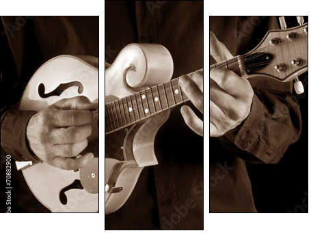 mandolin player,sepia image  - Obraz trzyczęściowy, Tryptyk
