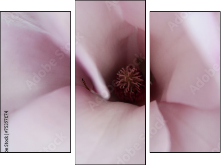 Magnolia inside  - Obraz trzyczęściowy, Tryptyk