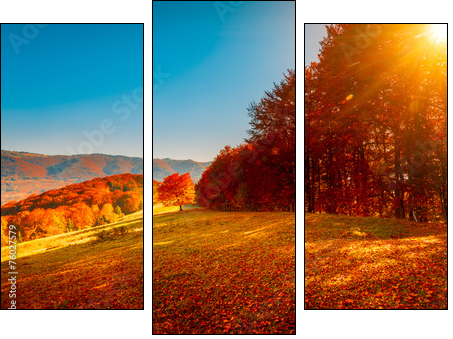 Colorful autumn landscape  - Obraz trzyczęściowy, Tryptyk