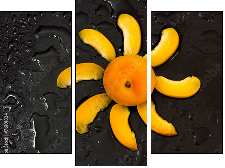 Apricots  - Obraz trzyczęściowy, Tryptyk