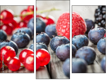 Blueberries background  - Obraz trzyczęściowy, Tryptyk