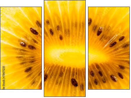 Yellow kiwi fruit on a white background  - Obraz trzyczęściowy, Tryptyk