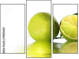 green lime  - Obraz trzyczęściowy, Tryptyk