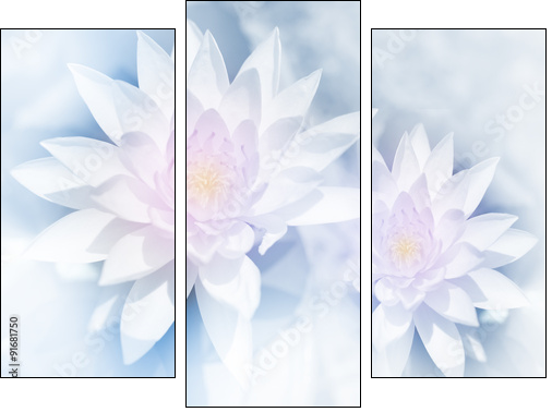 vivid color lotus in soft style for background - Obraz trzyczęściowy, Tryptyk