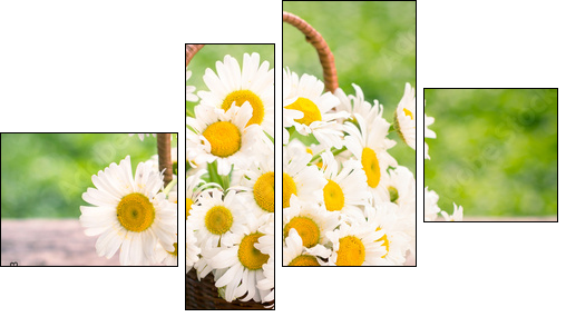 Spring flowers - Daisy flowers in the basket - Obraz czteroczęściowy, Fortyk