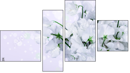 Beautiful Lily Flowers Border - Obraz czteroczęściowy, Fortyk