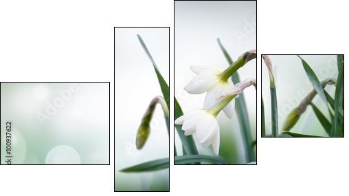 abstract spring background - Obraz czteroczęściowy, Fortyk