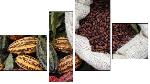 Ziarna kakaowca
 - Obraz czteroczęściowy, Fortyk