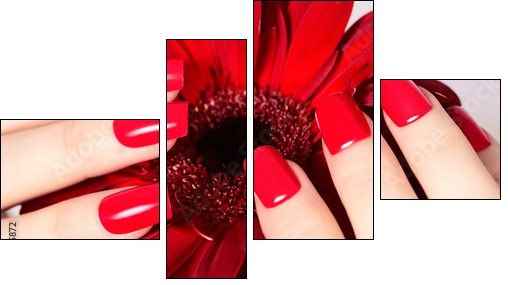 Beauty hands with red fashion manicure and bright flower. Beautiful manicured red polish on nails - Obraz czteroczęściowy, Fortyk