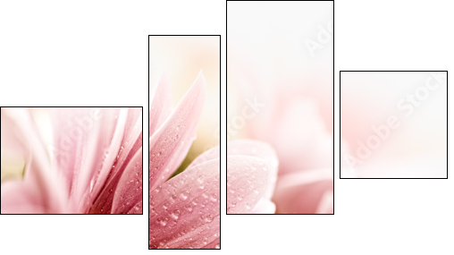 Beautiful daisy flowers closeup  - Obraz czteroczęściowy, Fortyk