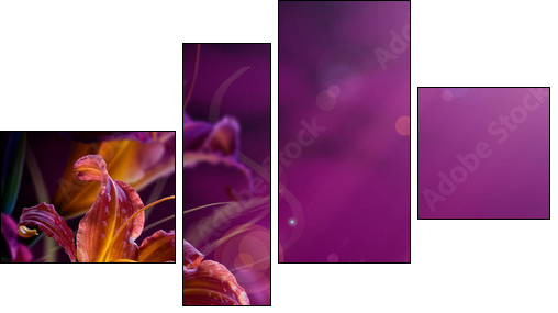 abstract floral background.With copy-space  - Obraz czteroczęściowy, Fortyk