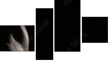 macro shot of nipple  - Obraz czteroczęściowy, Fortyk