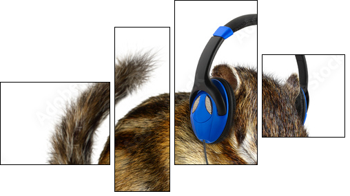 Funny chipmunk listening to music on headphones  - Obraz czteroczęściowy, Fortyk