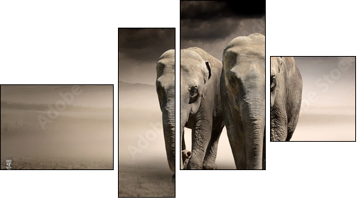 Pair of elephants in motion  - Obraz czteroczęściowy, Fortyk