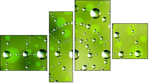 Abstract spider web with dew drops  - Obraz czteroczęściowy, Fortyk