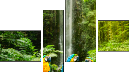 Blue-and-Yellow Macaw  - Obraz czteroczęściowy, Fortyk