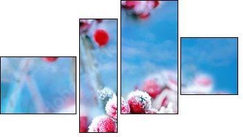Frozen rowan berries  - Obraz czteroczęściowy, Fortyk