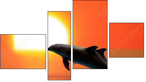 Dolphins at sunset  - Obraz czteroczęściowy, Fortyk
