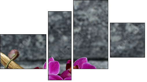 OrchideenblÃ¼te in einer Palmblattschale  - Obraz czteroczęściowy, Fortyk