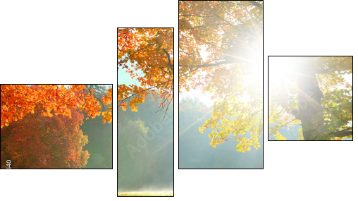 Autumn landscape   - Obraz czteroczęściowy, Fortyk
