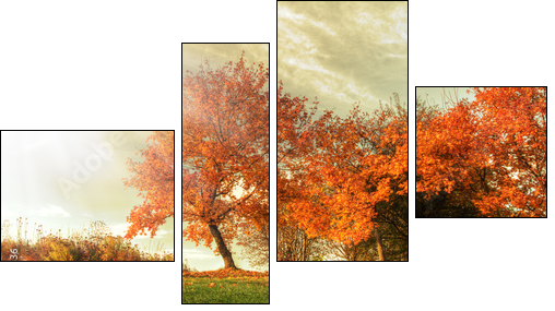 Autumn landscape  - Obraz czteroczęściowy, Fortyk