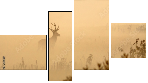 Red deer with big antlers stands on meadow on foggy morning  - Obraz czteroczęściowy, Fortyk