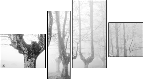 creepy forest with scary trees  - Obraz czteroczęściowy, Fortyk