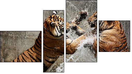 Tiger Battle  - Obraz czteroczęściowy, Fortyk