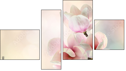 magnolia - Obraz czteroczęściowy, Fortyk