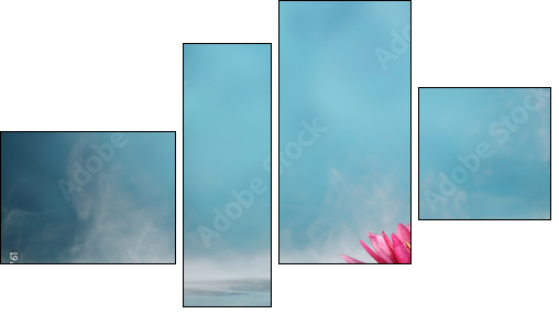 water lily - Obraz czteroczęściowy, Fortyk