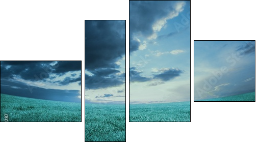 Blue sky over green field  - Obraz czteroczęściowy, Fortyk