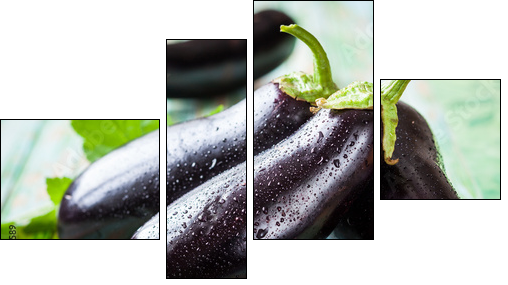 Eggplant  - Obraz czteroczęściowy, Fortyk