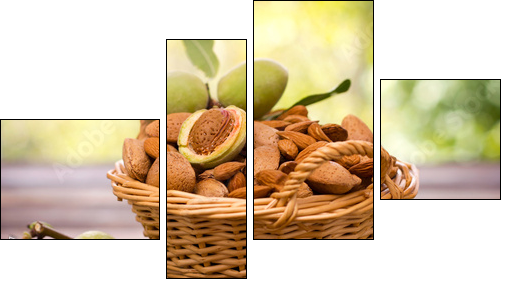 Fresh almonds in the basket  - Obraz czteroczęściowy, Fortyk