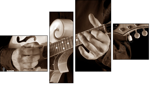 mandolin player,sepia image  - Obraz czteroczęściowy, Fortyk