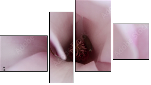 Magnolia inside  - Obraz czteroczęściowy, Fortyk