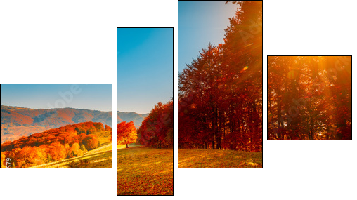 Colorful autumn landscape  - Obraz czteroczęściowy, Fortyk