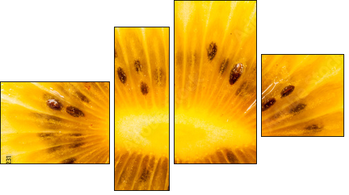 Yellow kiwi fruit on a white background  - Obraz czteroczęściowy, Fortyk